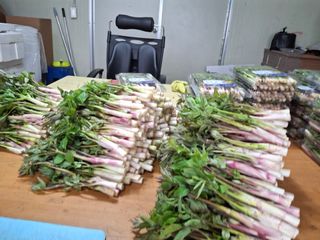 변귀재님의 작성글 사진