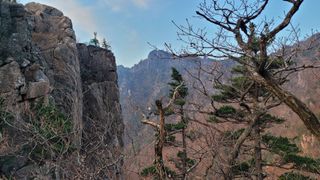 제주농부님의 자유주제 · 자유게시판 작성글 사진