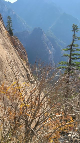 제주농부님의 자유주제 · 자유게시판 작성글 사진