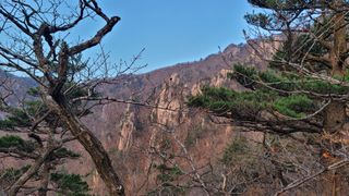 제주농부님의 자유주제 · 자유게시판 작성글 사진