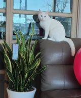 팜모닝 자유주제·자유게시판 게시글 이미지