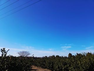 산방자연농원님의 자유주제 · 자유게시판 작성글 사진