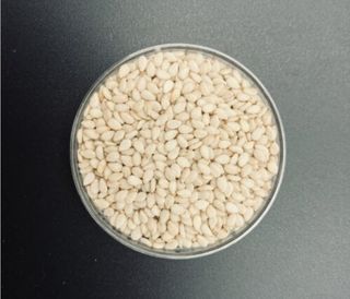 대산농사대장님의 참깨 · 자유게시판 작성글 사진