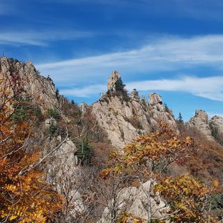 제주농부님의 자유주제 · 자유게시판 작성글 사진
