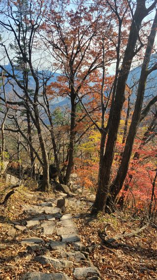 제주농부님의 자유주제 · 자유게시판 작성글 사진