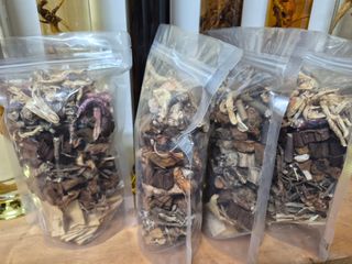 박정희님의 자유주제 · 자유게시판 작성글 사진