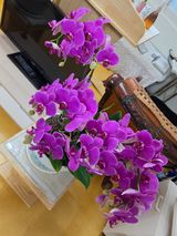 팜모닝 · 게시글 이미지