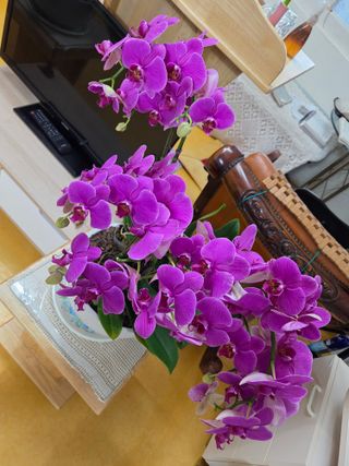 무형교회목사 안영진님의 작성글 사진