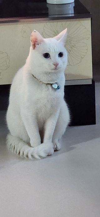 하은와송~♡♡♡~님의 자유주제 · 자유게시판 작성글 사진