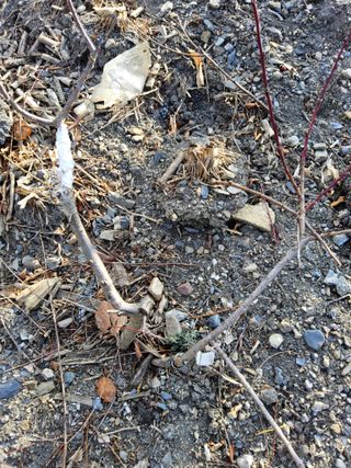 김용대님의 자유주제 · 자유게시판 작성글 사진