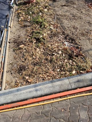 김용대님의 자유주제 · 자유게시판 작성글 사진