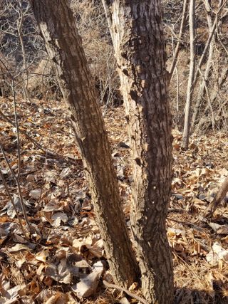 논산푸른팜님의 자유주제 · 자유게시판 작성글 사진