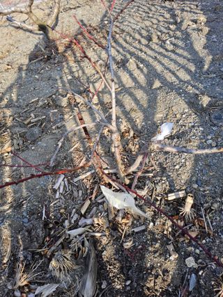 김용대님의 자유주제 · 자유게시판 작성글 사진