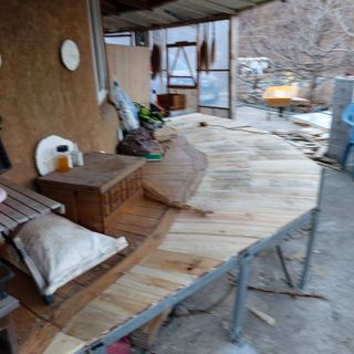 가로수님의 자유주제 · 자유게시판 작성글 사진