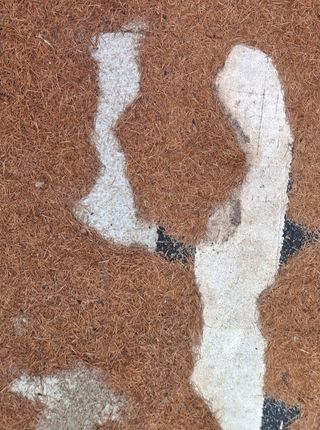 MSG0074님의 자유주제 · 자유게시판 작성글 사진