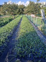 팜모닝 자유주제·자유게시판 게시글 이미지