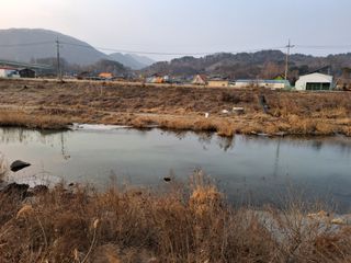 MSG0074님의 자유주제 · 자유게시판 작성글 사진