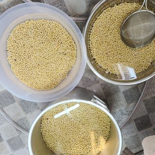 시골에 살어리랏다 님의 작성글 사진