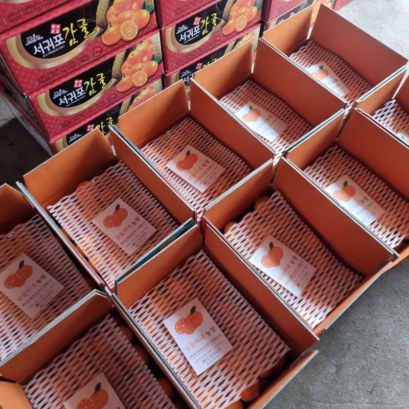 은동이님의 장터 판매 상품 [서귀포 남원 노지 조생감귤 5kg / 10kg] 첨부 사진
