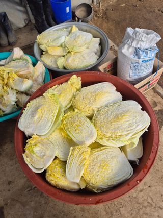 허굴산농장님의 자유주제 · 자유게시판 작성글 사진