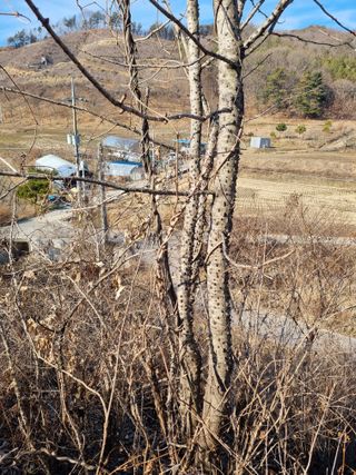 논산푸른팜님의 자유주제 · 자유게시판 작성글 사진