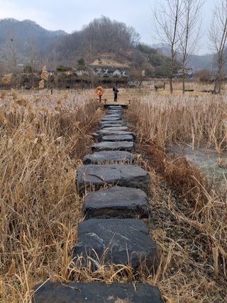 MSG0074님의 자유주제 · 자유게시판 작성글 사진