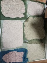 팜모닝 · 게시글 이미지