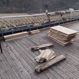 팜모닝 자유주제·자유게시판 게시글 이미지