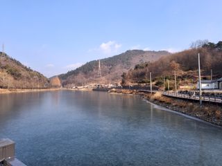 MSG0074님의 자유주제 · 자유게시판 작성글 사진