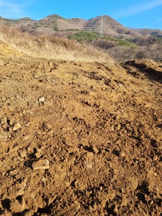 논산푸른팜님의 자유주제 · 자유게시판 작성글 사진