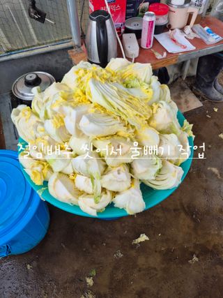 허굴산농장님의 자유주제 · 자유게시판 작성글 사진