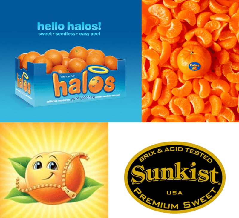 스피드번님의 장터 판매 상품 [만다린 귤] 첨부 사진