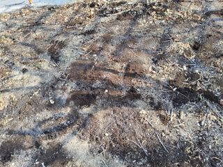 김용대님의 자유주제 · 자유게시판 작성글 사진