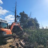 팜모닝 귤·품질 향상 게시글 이미지