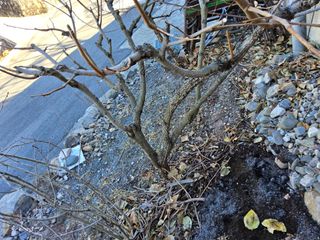 김용대님의 자유주제 · 자유게시판 작성글 사진