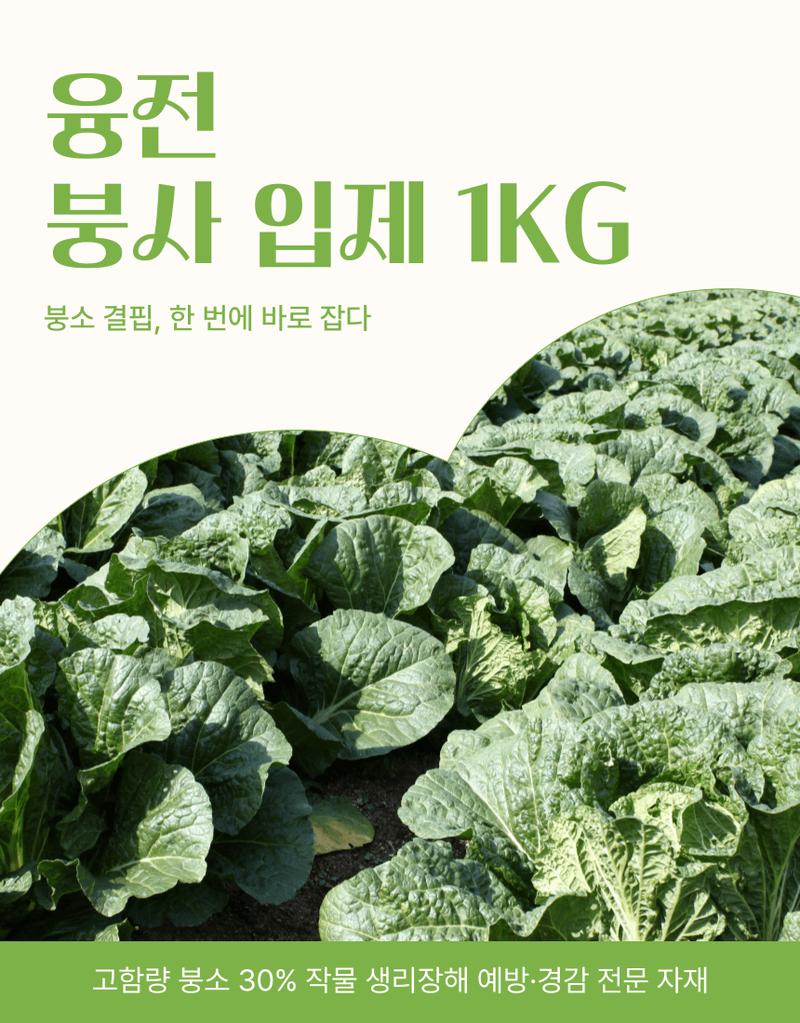 농업마켓365님의 장터 판매 상품 [고함량 붕소 비료 융전 붕사 입제 1kg 붕소 결핍 개선·조피·깨알 증상 예방] 첨부 사진