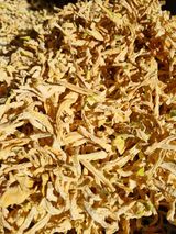 팜모닝 · 게시글 이미지