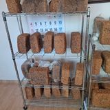 팜모닝 자유주제·자유게시판 게시글 이미지