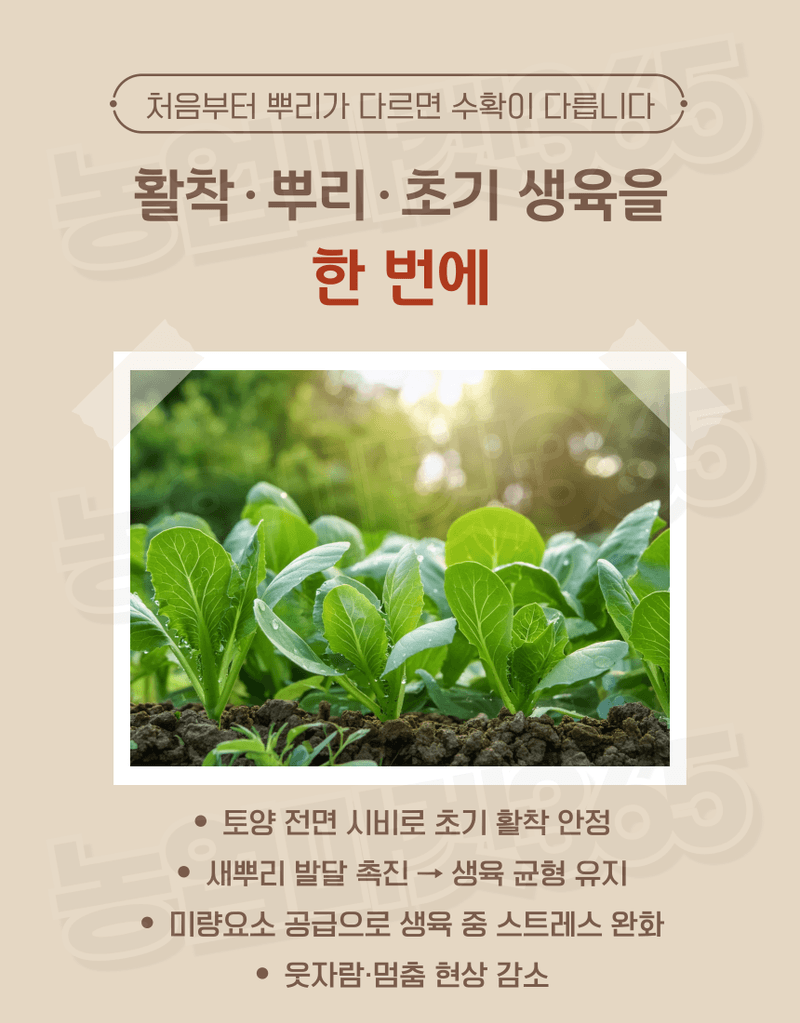 농업마켓365님의 장터 판매 상품 [융전 채전밭애 입제 1kg 배추 무 전용 생리장해 예방 토양개량 입제 비료] 첨부 사진