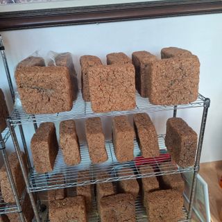 오영도님의 자유주제 · 자유게시판 작성글 사진