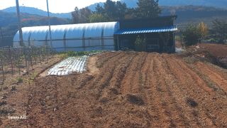 공음님의 자유주제 · 자유게시판 작성글 사진