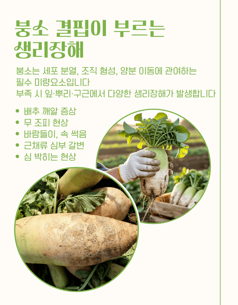 농업마켓365님의 장터 판매 상품 [고함량 붕소 비료 융전 붕사 입제 1kg 붕소 결핍 개선·조피·깨알 증상 예방] 첨부 사진