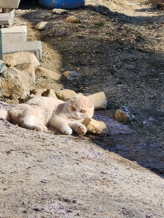 행복농원님의 자유주제 · 자유게시판 작성글 사진