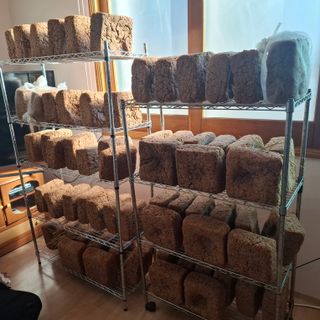 오영도님의 자유주제 · 자유게시판 작성글 사진