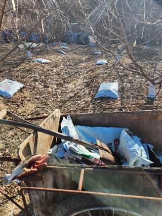 행복농원님의 자유주제 · 자유게시판 작성글 사진