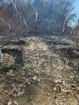 팜모닝 자유주제·자유게시판 게시글 이미지