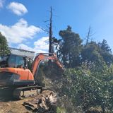 서귀포달코롬감귤농원님의 귤·품질 향상 작성글 사진