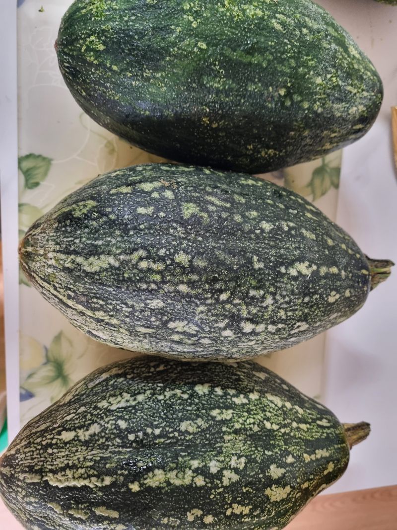 모두팜님의 장터 판매 상품 [무말랭이] 첨부 사진