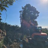 서귀포달코롬감귤농원님의 귤·품질 향상 작성글 사진