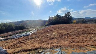 공음님의 자유주제·자유게시판 작성글 사진